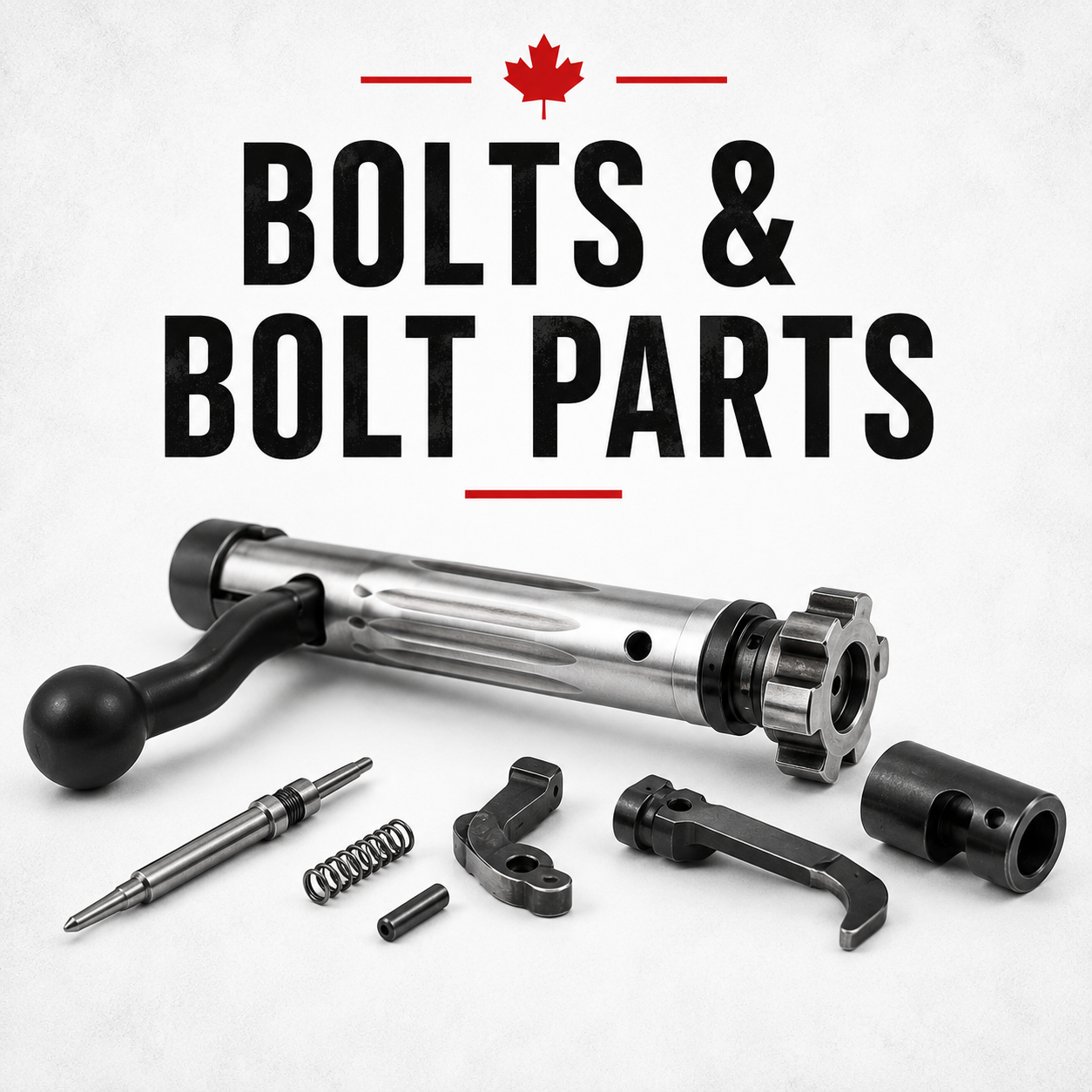 Bolts & Bolt Parts