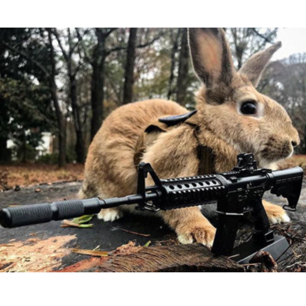 GoatGuns AR-15 - Black image 3